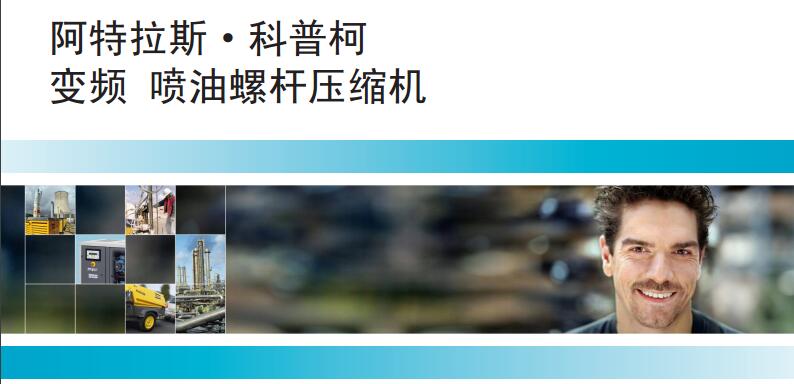 G 315 VSD: 噴油螺桿壓縮機(jī)，300 kW / 402 hp
