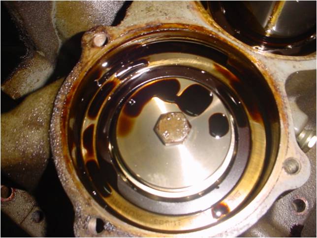 圖片1.jpg 圖片1.jpg